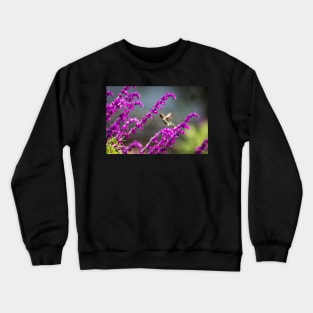 Hummingbird Having a Snack Crewneck Sweatshirt